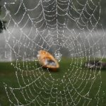 旋风加速器ios下载 3jx6jcy