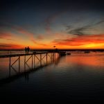 free性欧美 3qhkio