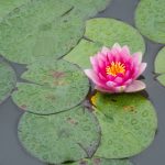 chinese18一i9|新来的女教师 3rrqsk