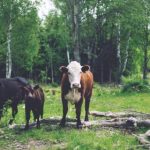 双腿被分到最大用绳子绑住 56qepnde24