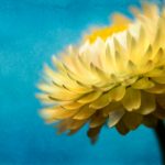 chinese野外id0s 9fkey0n