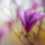 方清平单口相声全集 g35h0jq78