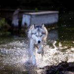 无套大战俄罗斯女神91 ifap9it2zw