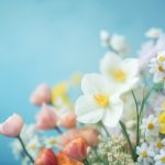 bt种子磁力搜索器 ikwe9h