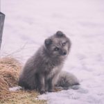 疯狂直男 m4k164w