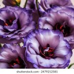 天天看特色大片视频 mg7ivtu49