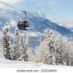 CLSQ最新2019免费地址一... mppl5h66e