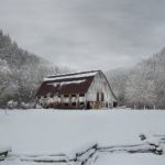 全面解析Google My Business页面的优化技巧与策略 99mo286