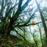 奈飞tv网站:畅享全球影视盛宴,尽在指尖的视听体验 ce12him