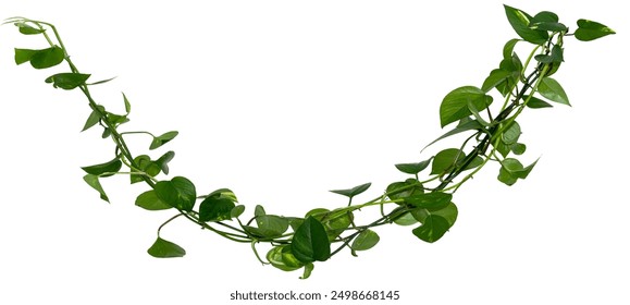 寻找不卡顿的免费电视剧观看平台推荐 寻找不卡顿的免费电视剧观看平台推荐