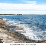 奈飞中文网飞电视剧在线观看:畅享全球热门剧集,尽在指尖! mtuzbcjjo