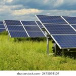 恋爱游戏网官网:探索浪漫世界,畅享甜蜜互动体验 t6ecrl99f