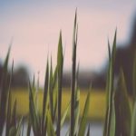 免费字幕下载:轻松获取最新影视剧字幕资源的方法与技巧 w7ieu550tm