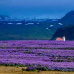 不良研究所在嘈杂的现实意义:揭示学术诚信缺失对社会的深远影响 z9k13955