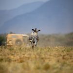 探索Pornhub视频:揭示成人娱乐的多样性与魅力 1d7o9