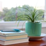 探索www.985r.com:高等教育资源与信息平台 4ndijmy40