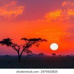 探索免费资源与优惠活动:freeok123的精彩世界 6kehkghi7