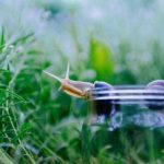 探索Age动漫网官网:尽享最新动漫资讯与资源 h7dknyc