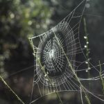 探索未知:揭开导航秘密入口的神秘面纱 iwbneoa6ik