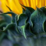 探索免费同人文网站:创作与分享的乐园 qpdb4