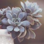 探索 jmcomic2 com:最新漫画资源与精彩内容分享 u476euta6