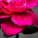 探索爱情岛独家官方论坛路线一:浪漫之旅的完美指南 v0kgk2m7d3