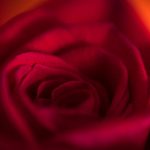 探索hsck.net.shbhj的潜在应用与发展前景 x2cacnp4n